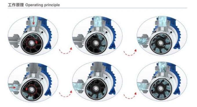 316L Sanitary Flexible Impeller Pump for High Purity Transfer